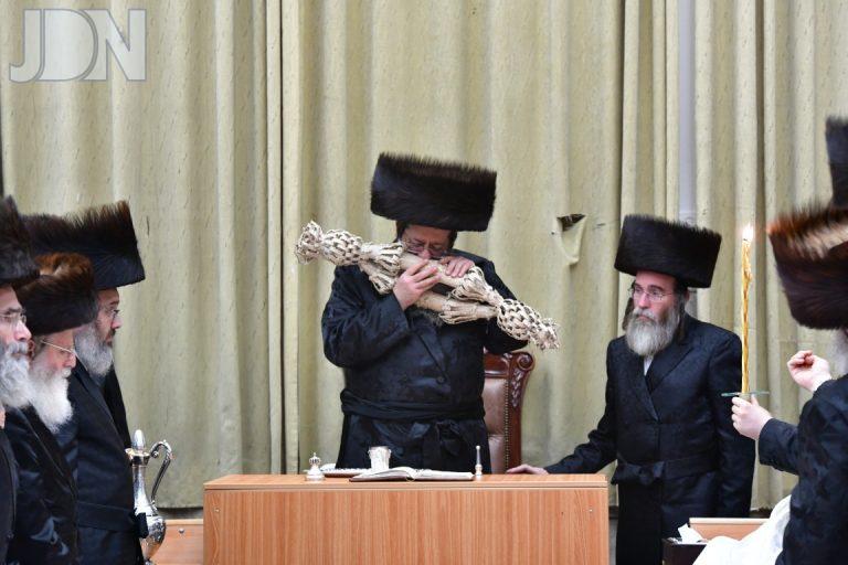שבט הלוי טלז סטון (67)