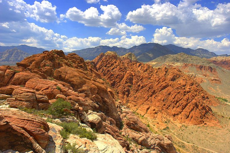 Calico_basin_red_rock_cumulus_mediocris