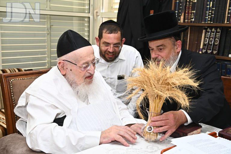 חיטים לחג השבועות אצל גדולי ישראל - קורניצר צילום שוקי לרר (11)