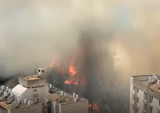 צילום מסך 2025-06-09 142912