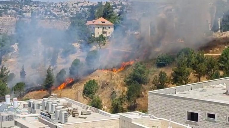 צילום מסך 2025-06-12 124602