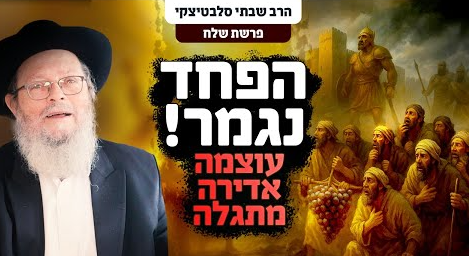 צילום מסך 2025-06-16 144052