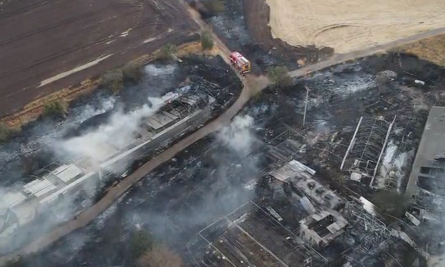 צילום מסך 2025-06-30 151218