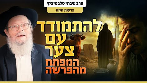 צילום מסך 2025-06-30 195019