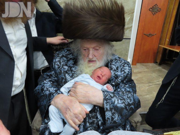 הגר''מ שטרנבוך ברית נין (23)