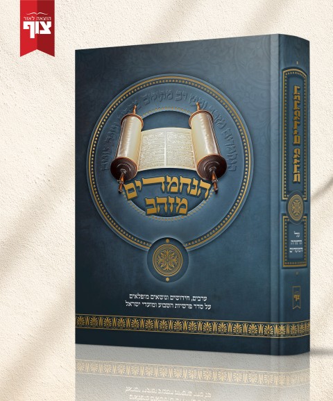 הדמיה