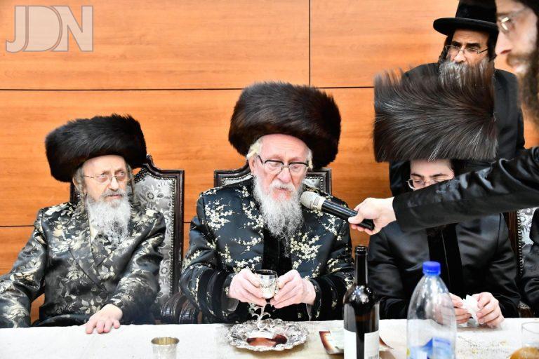 נדבורנה בורו פארק חתונה (10)