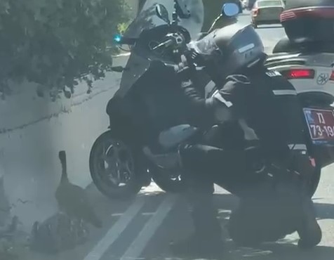 צילום מסך 2025-07-09 113143