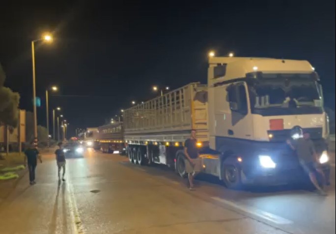 צילום מסך 2025-07-28 094711