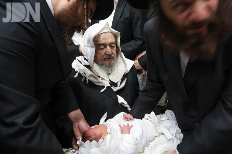 רבי יעקב מאיר שכטער מוהל בחמש בריתות בביהמ''ד ויזניץ צילום מ א