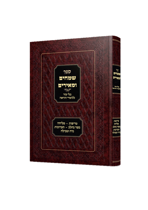 שמחים ומאירים_הדמיה