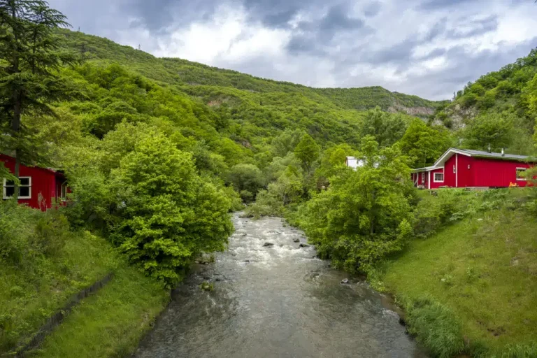1006547562