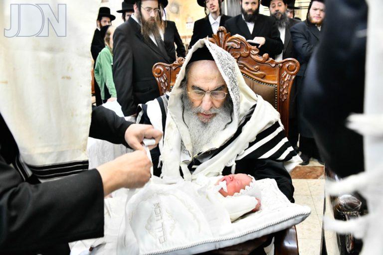 אלכסנדר ברית (18)