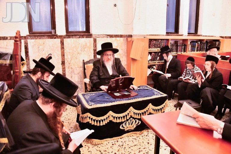 ביאלה בב ט אב צילום שוקי לרר (4)