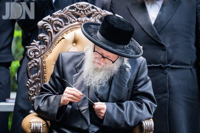 סערדאהלי שחיטת כבש (7)
