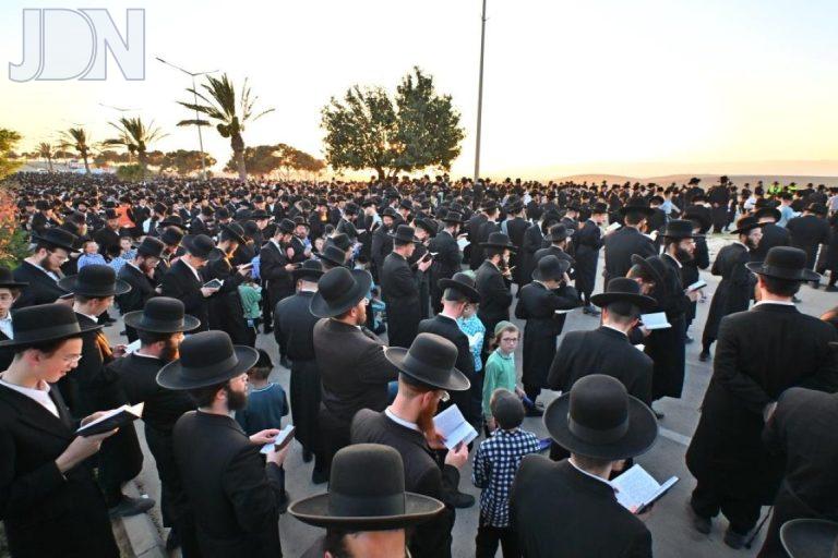 עצרת תפילה לביטול גזירת הגיוס על ידי קהילת חסידי גור בערד צילום יהושע פרוכטר (11)