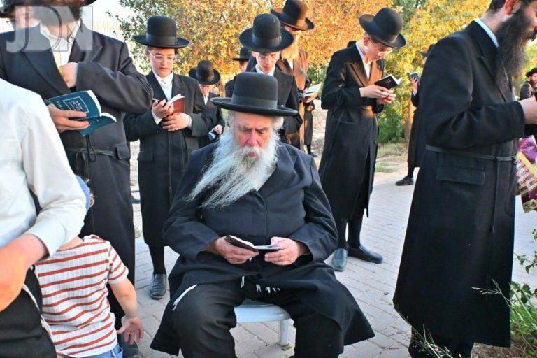 עצרת תפילה לביטול גזירת הגיוס על ידי קהילת חסידי גור בערד צילום יהושע פרוכטר (9)