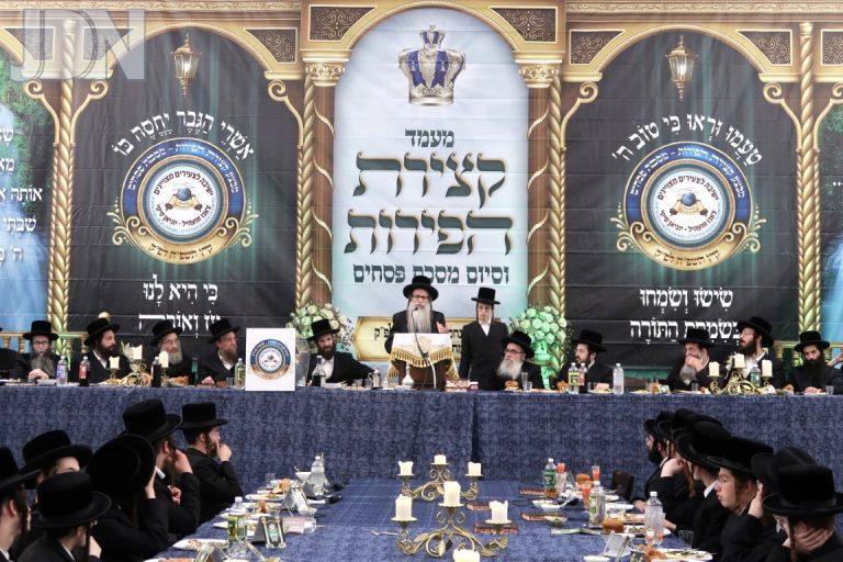 צאנז זוויעהל קצירת הפירות (3)