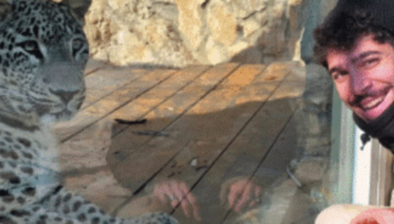 צילום-מסך-2025-08-05-164702_optimized
