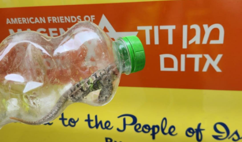 צילום מסך 2025-08-11 140707