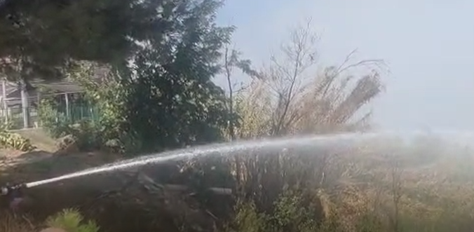 צילום מסך 2025-08-24 142103