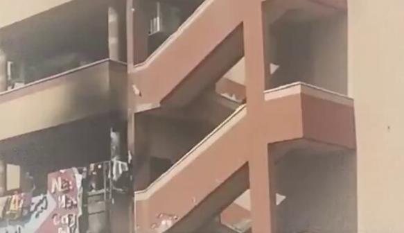 צילום מסך 2025-08-25 140637