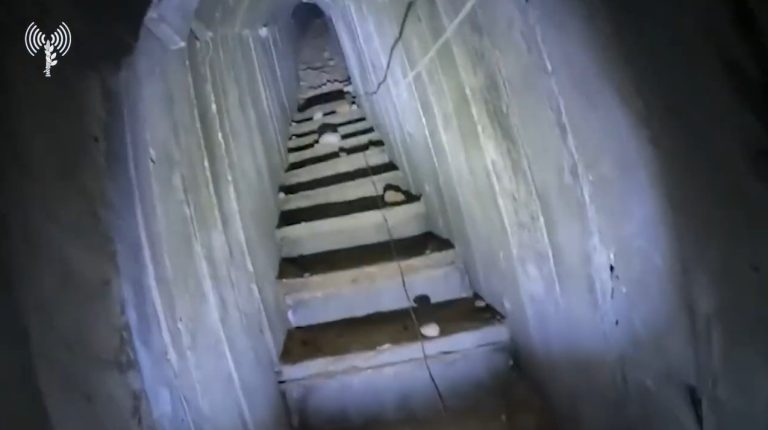 צילום מסך 2025-08-26 174248