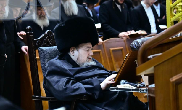 צילום מסך 2025-08-31 154732