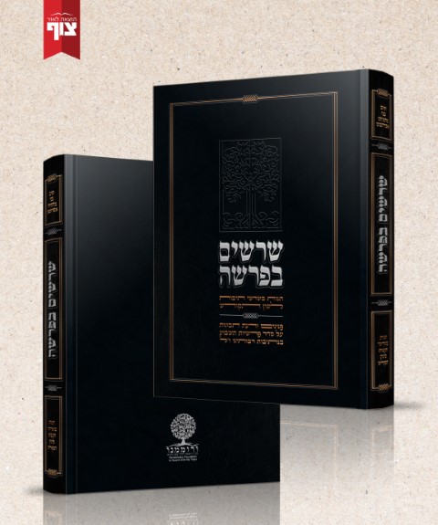 שרשים בפרשה_הדמיה