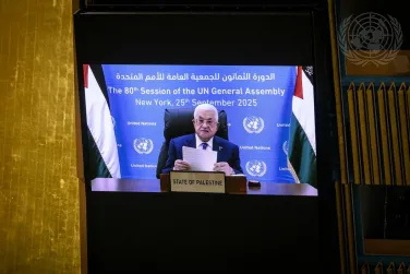 un71119533