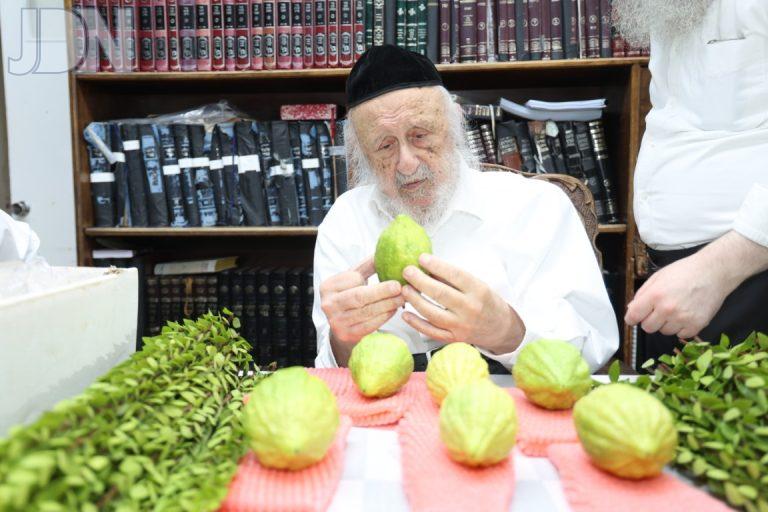 הרב ברוך דב פוברסקי בבחירת ארבעת המינים צילום דוד ארזני (14)