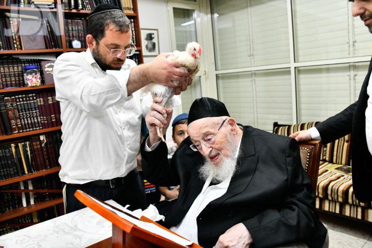 כפרות הרב ברגמן (8)