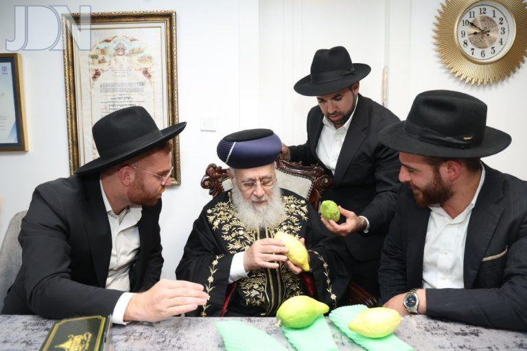 מרן הראשון לציון רבי יצחק יוסף בבדיקת אתרוגים של מוסדות 'תפארת וגדולה צילום דוד ארזני (1)
