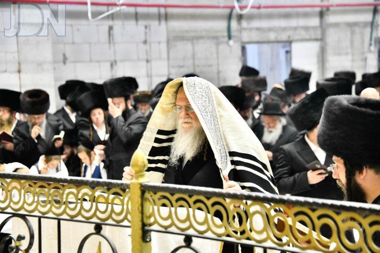 סליחות בחצה''ק מודזיץ פ''ה צילום שוקי לרר (1)