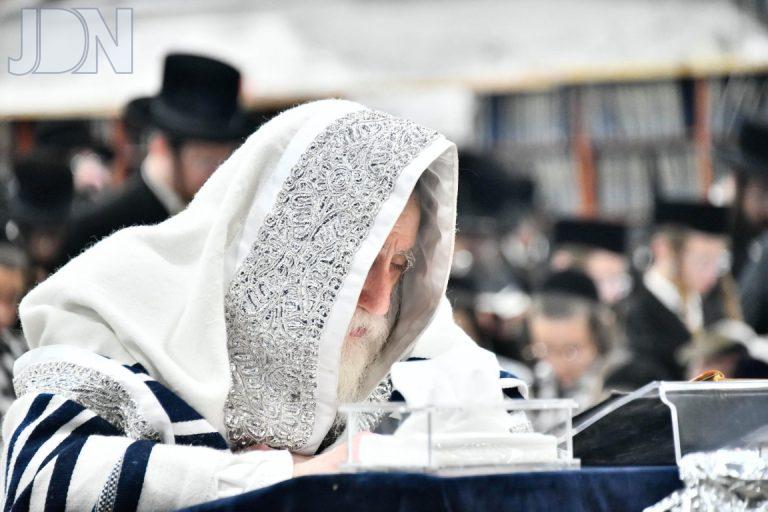 סליחות בחצה''ק מכנובקא בעלזא פ''ה צילום שוקי לרר (11)