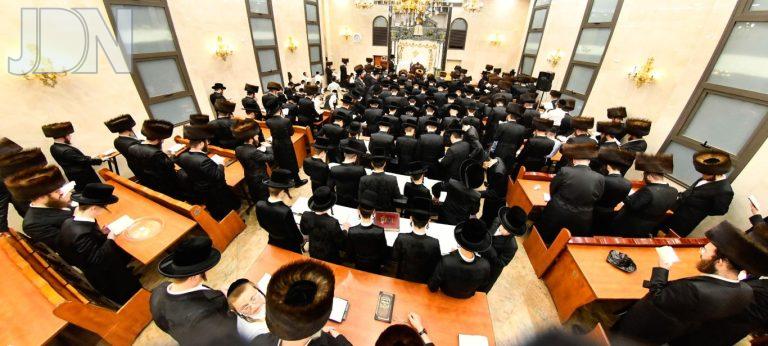 סליחות בחצה''ק ספינקא פ''ה צילום שוקי לרר (8)