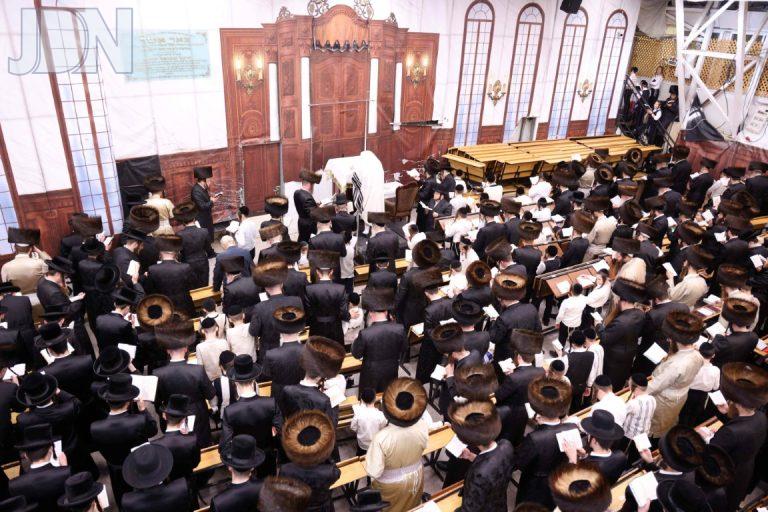 סליחות בחצה''ק פינסק קארלין - צילום שמואל דריי (15)