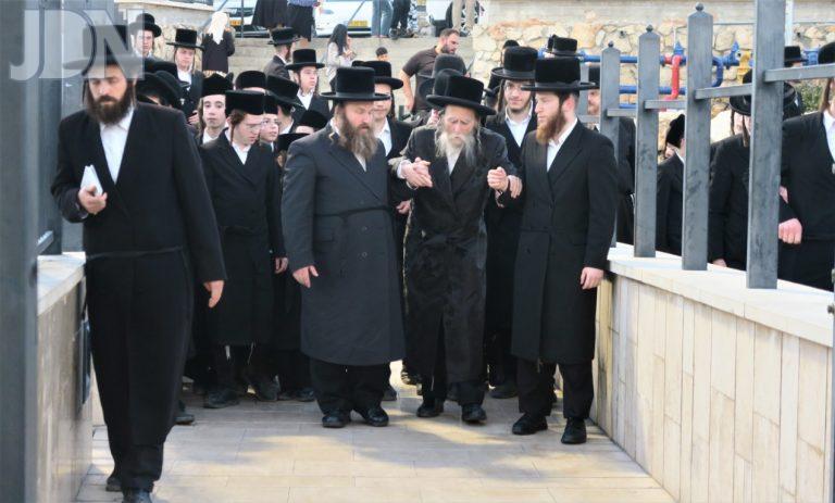 ערלוי מירון (1)