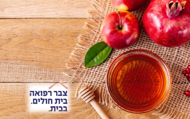 צבר רפואה חגי תשרי -תמונה