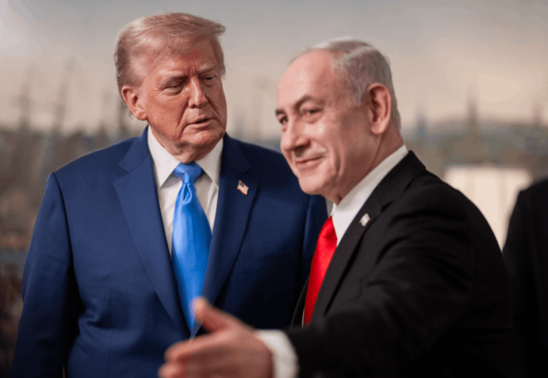 צילום מסך 2025-07-08 235220