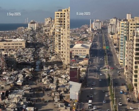 צילום מסך 2025-09-04 120415