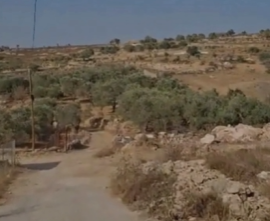 צילום מסך 2025-09-08 190914