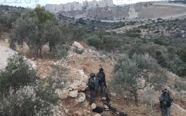 צילום מסך 2025-09-30 132056