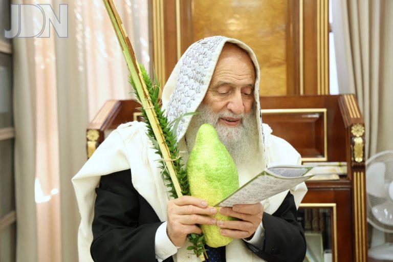 ארזני גדולי ישראל הספרדים נענועים (27)