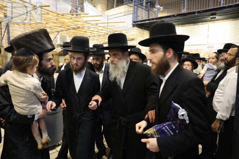 אשלג מירון (18)