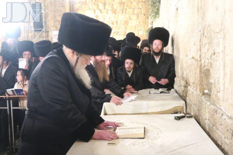 האדמו''ר ממודזי'ץ מוצאי יו''ט ראשון בעליה לרגל לכותל המערבי יחד עם קהל חסידיו (3)