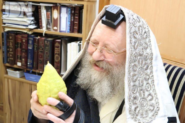 האדמו''ר מנאדבורנא באניא בבדיקת אתרוג ולולב עם תפילין דר''ת (5)
