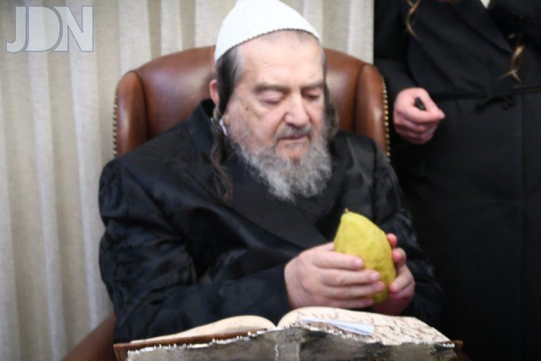 הגרי''מ שכטר אתרוג (5)