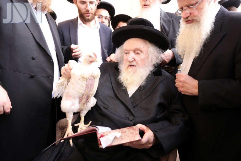 הגר''מ שטרנבוך כפרות (8)
