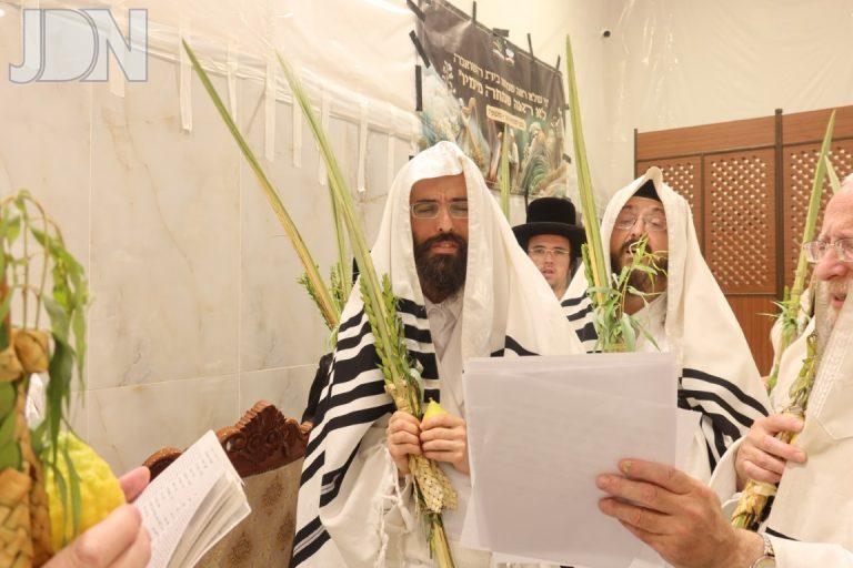 הושענא רבא בחצה''ק זוועהיל צילום שימי פ